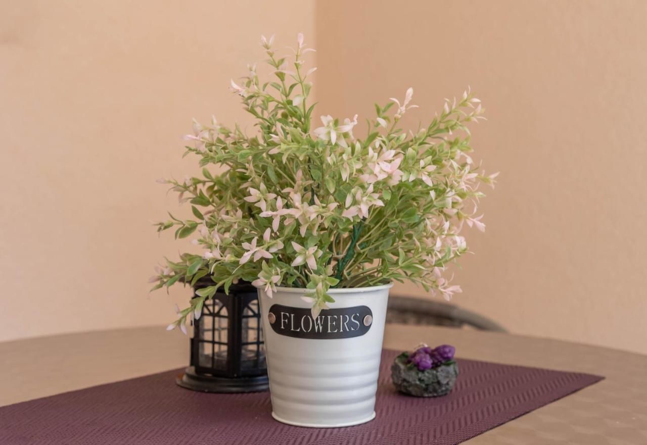 Апартаменты S&P City Center Apartments Котор-27